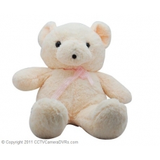 Hidden Teddy Bear Camera DVR - Nanny Cam with Motion Detection